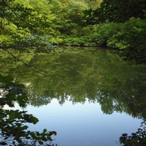 371 Suicide webp.png