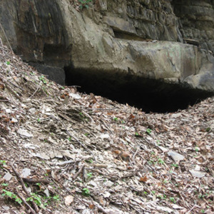 Tunnel Quarry web.jpg