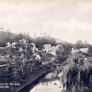 BridgeWalnut2.jpg