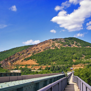 Blue Mountain web.jpg