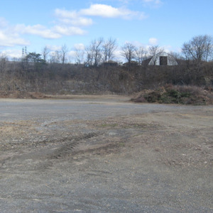 815 Emerald 2 web.jpg